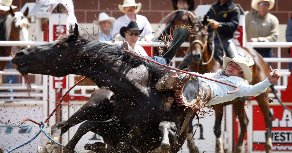 Rodeo one of the most dangerous sports in the world: study