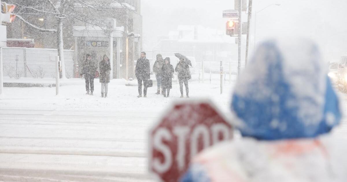 Toronto to see up to another five centimetres of snow Sunday