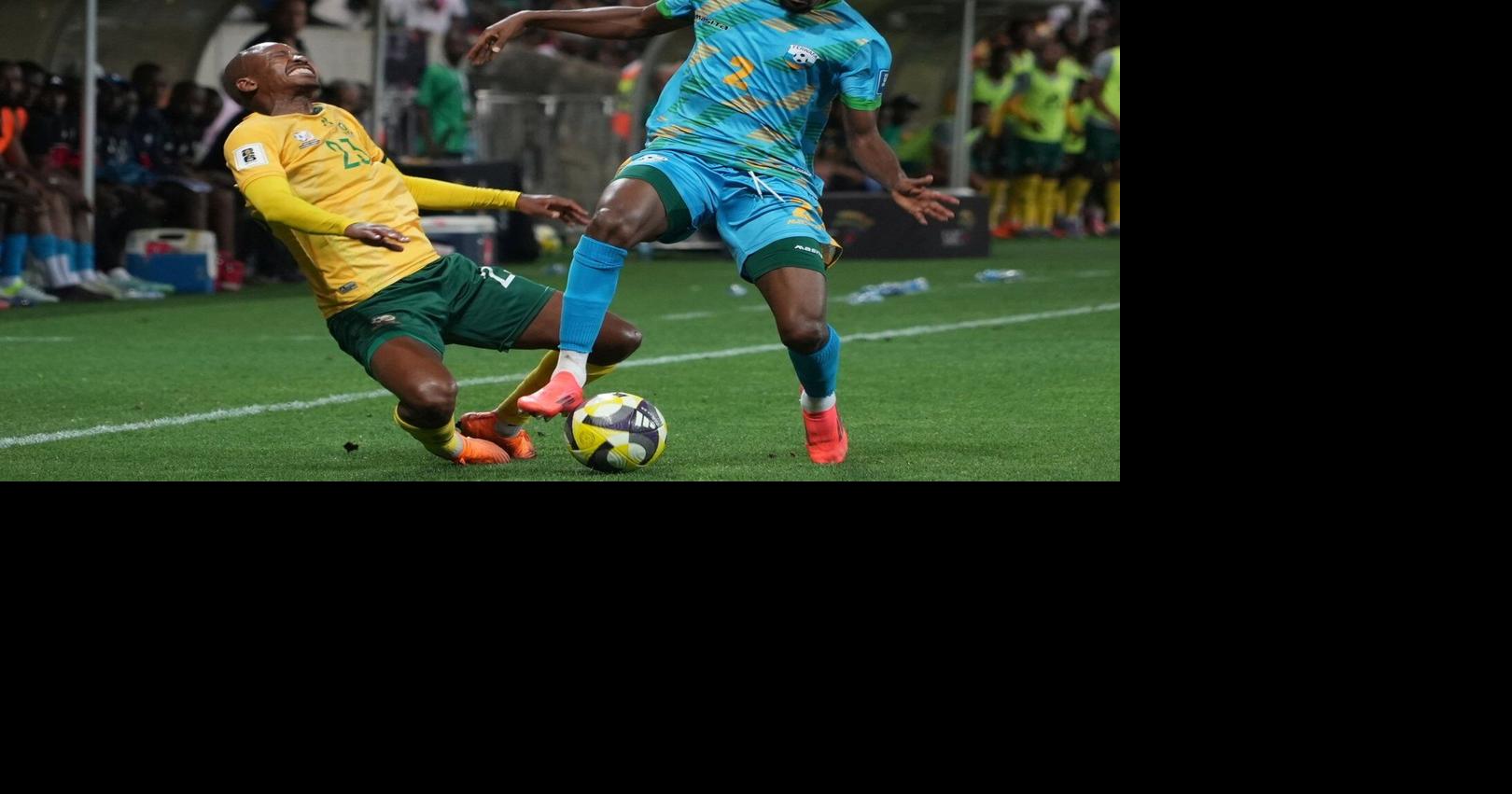 South Africa players celebrate