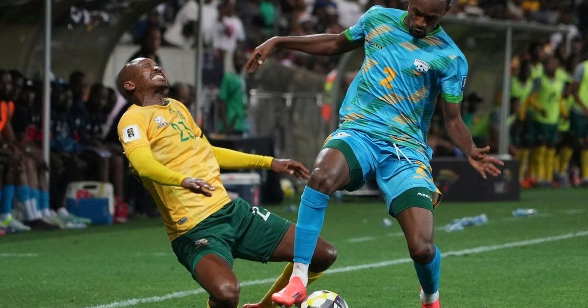 South Africa players celebrate