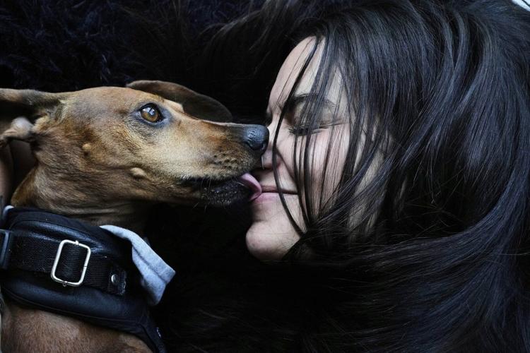 AP PHOTOS: As more Argentines go childless, pampered dogs become part of the family