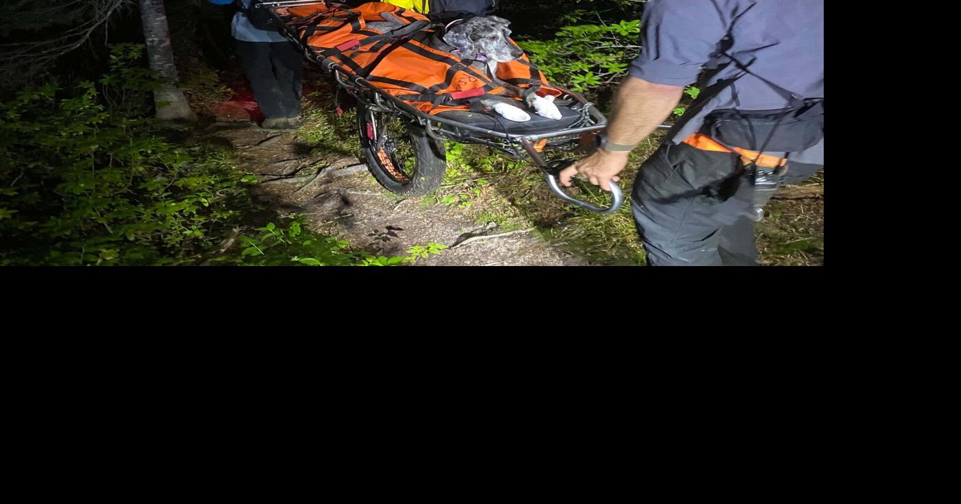 https://bloximages.chicago2.vip.townnews.com/thestar.com/content/tncms/assets/v3/editorial/2/19/21924e77-6c84-5d08-a5c4-7c7d2fe87cfa/6aac10e649374.image.jpg?crop=1400%2C735%2C0%2C242&resize=1200%2C630&order=crop%2Cresize