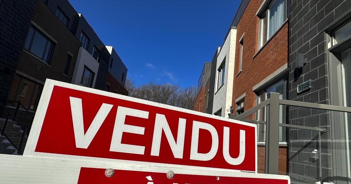 Fake Bids Two Quebec real estate brokers suspended for using fake bids to drive ...