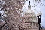 Republicans are launching a new effort to fund the Department of Homeland Security