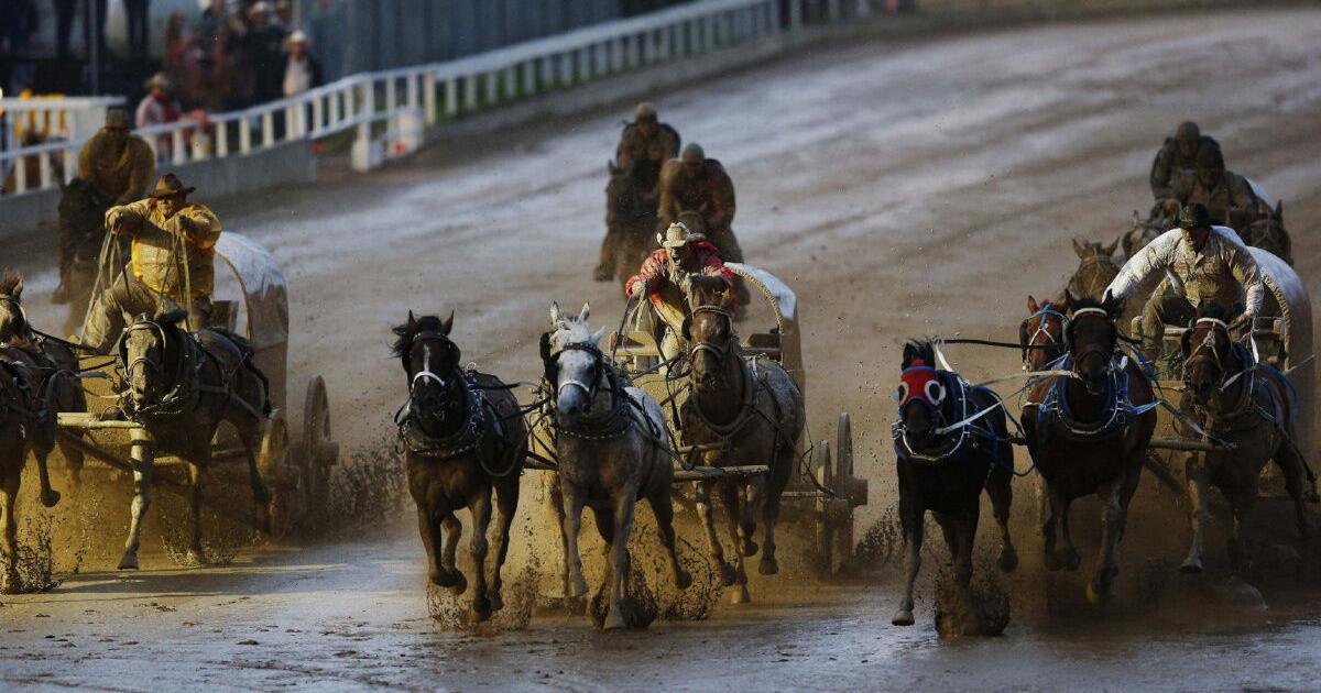 Chariot Races Rivalry End modern-day chariot races