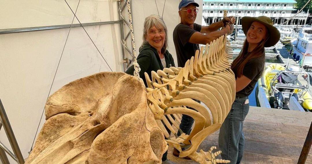 Northern lights inspire recovery in Telegraph Cove, B.C., year after devastating fire