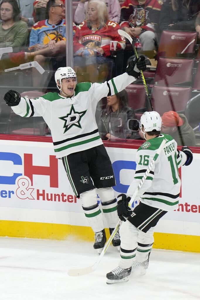 Stars defeat Panthers 6-4; Dallas goalie carted off ice - The San