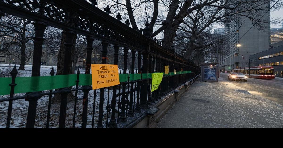 Tree removal can continue at Osgoode Hall after judge refuses to extend