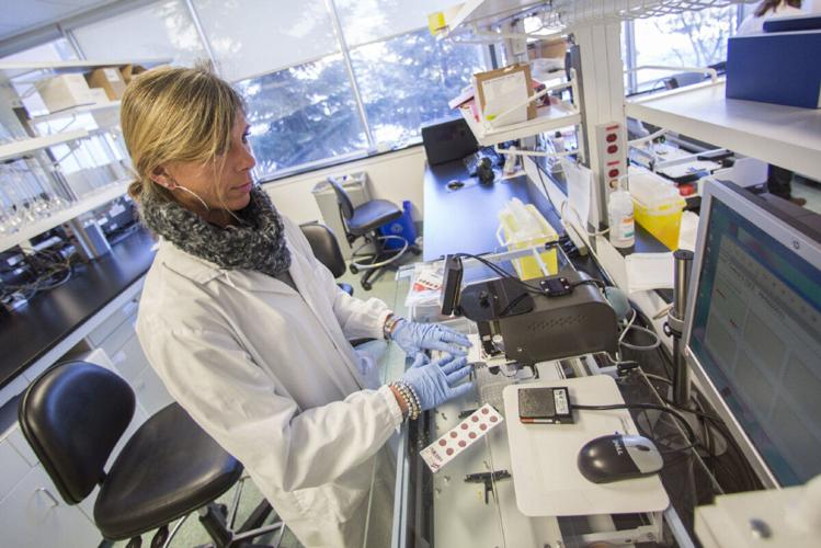 Blood test delays put newborns with aggressive genetic diseases at risk ...