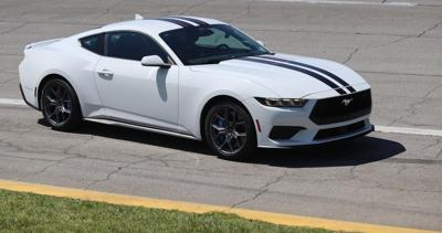 a_mustang