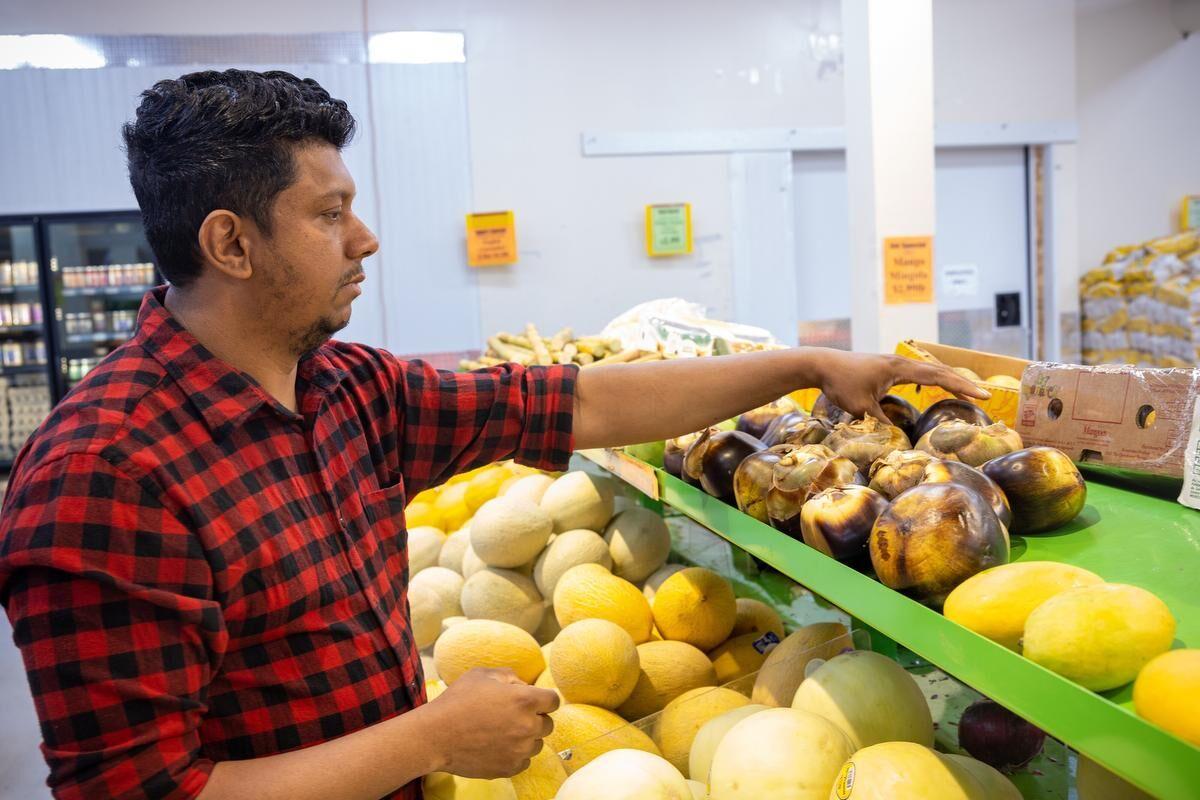 First import of Colombian sugar mango ready to debut in the U.S.