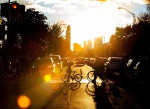 Ford government begins removing bike lanes in Etobicoke