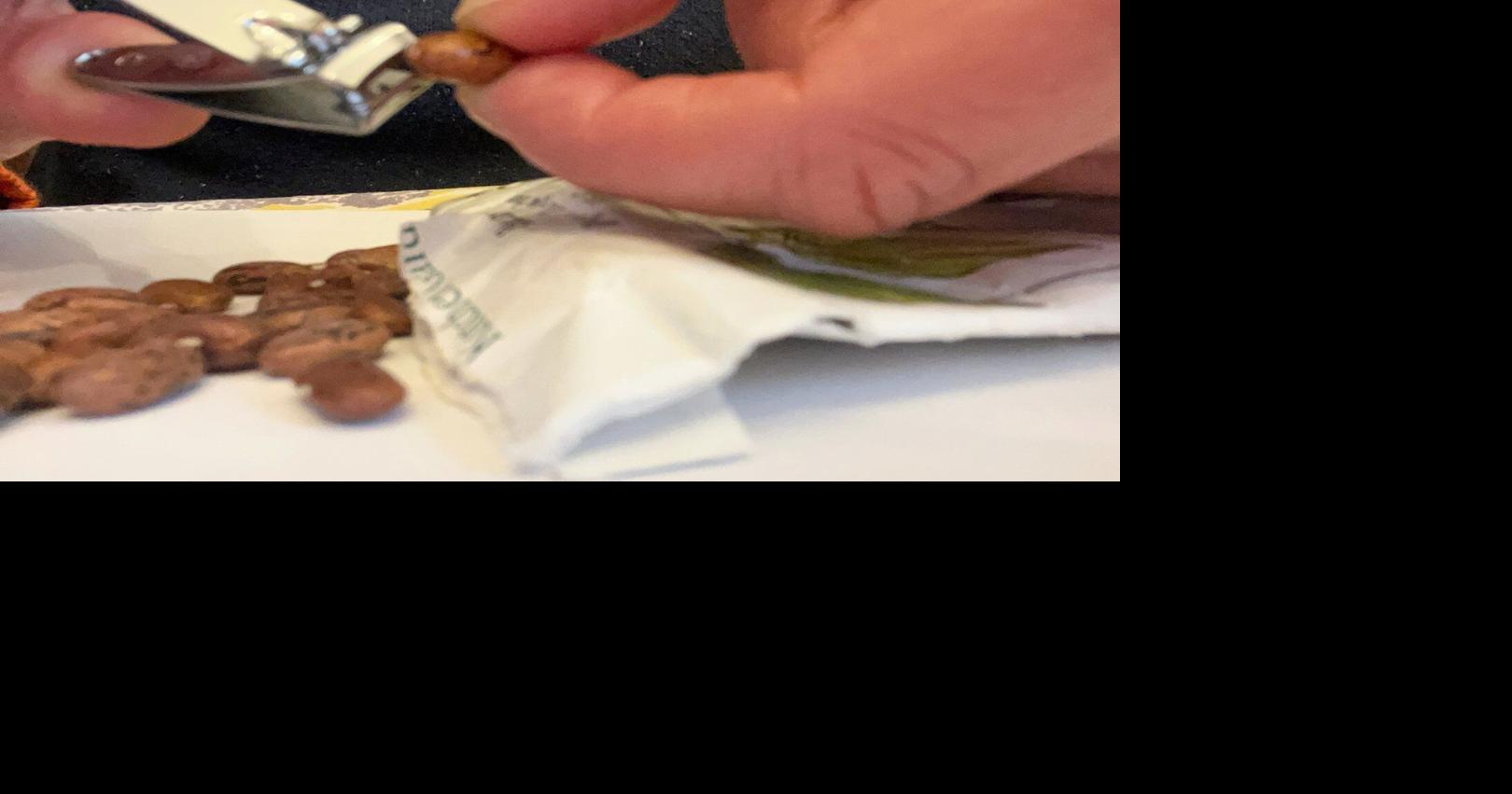 Scarification: The simple seed-starting trick that helps tough-coated seeds sprout faster