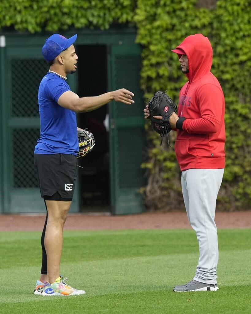 Willson Contreras returns to Wrigley Field: Cardinals DH drives in