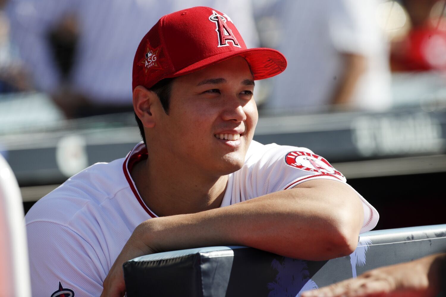 Shohei Ohtani watch continues as Blue Jays fans track plane