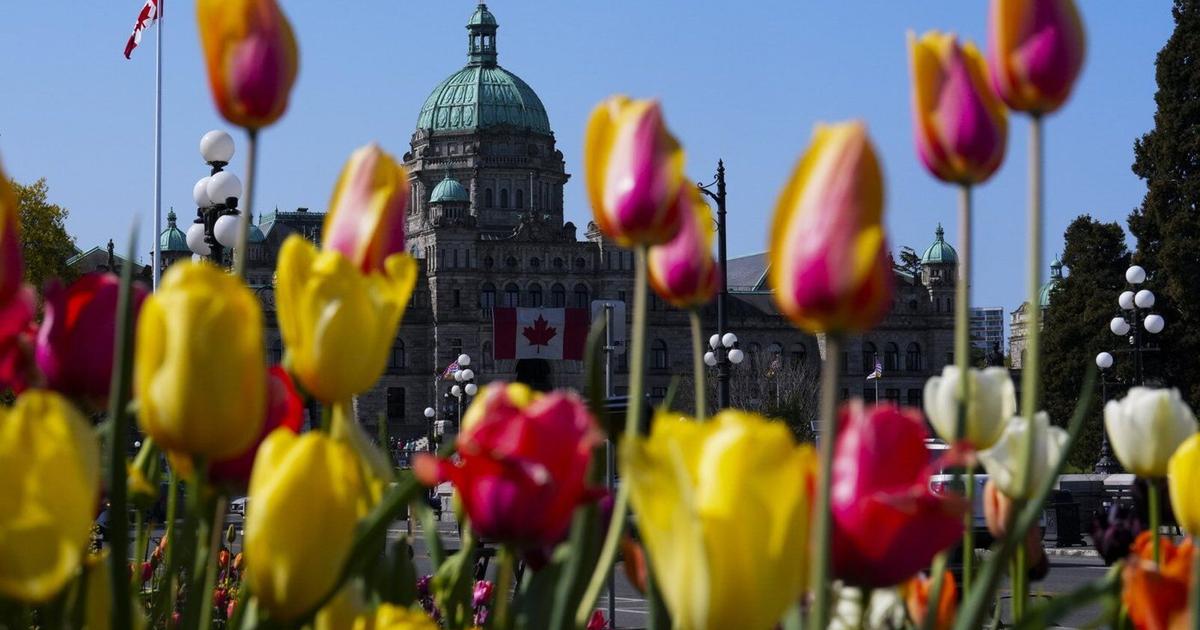 Minister says she rejected daycare at B.C. legislature because area is well served