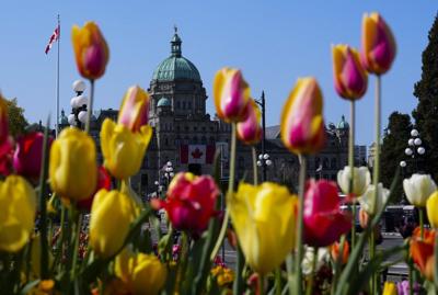 Minister says she rejected daycare at B.C. legislature because area is well served