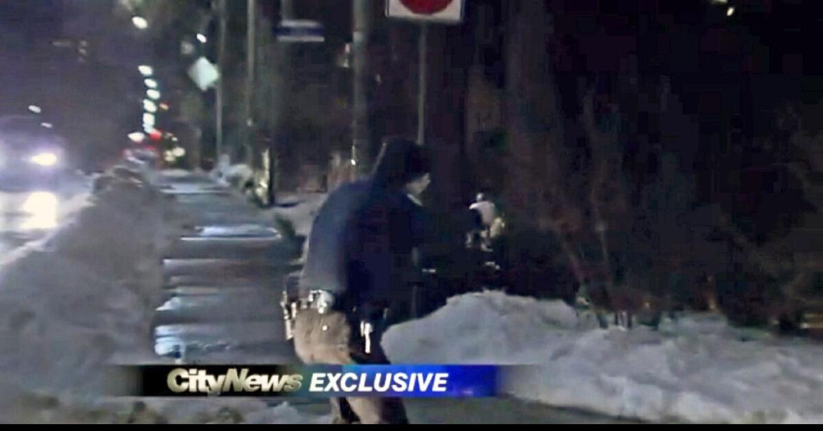 Police cite public safety in Cabbagetown coyote shooting