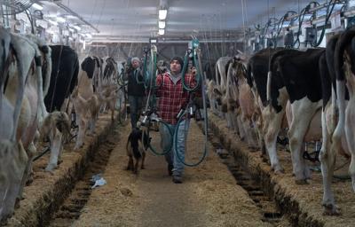 New supply management law won't save the system from Trump, experts say