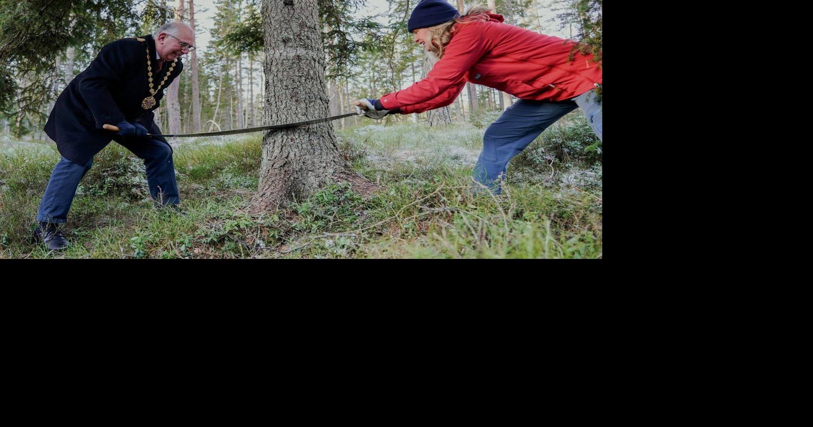 Norway donates a Christmas tree to London every year. Here’s how the tradition began