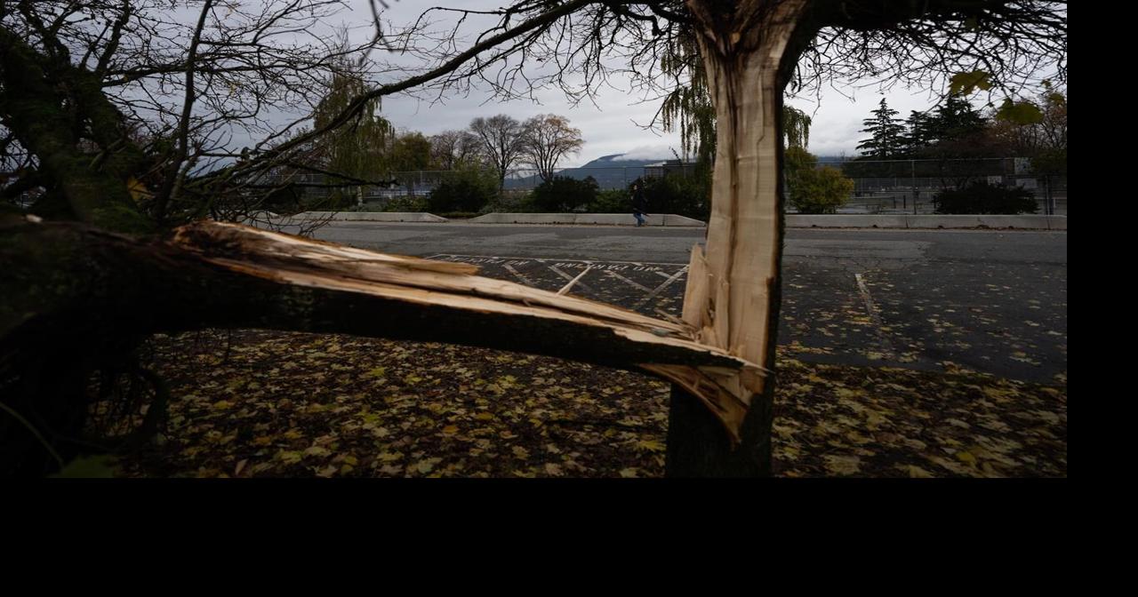 Thousands lose power in parts of B.C. after high winds, heavy rains