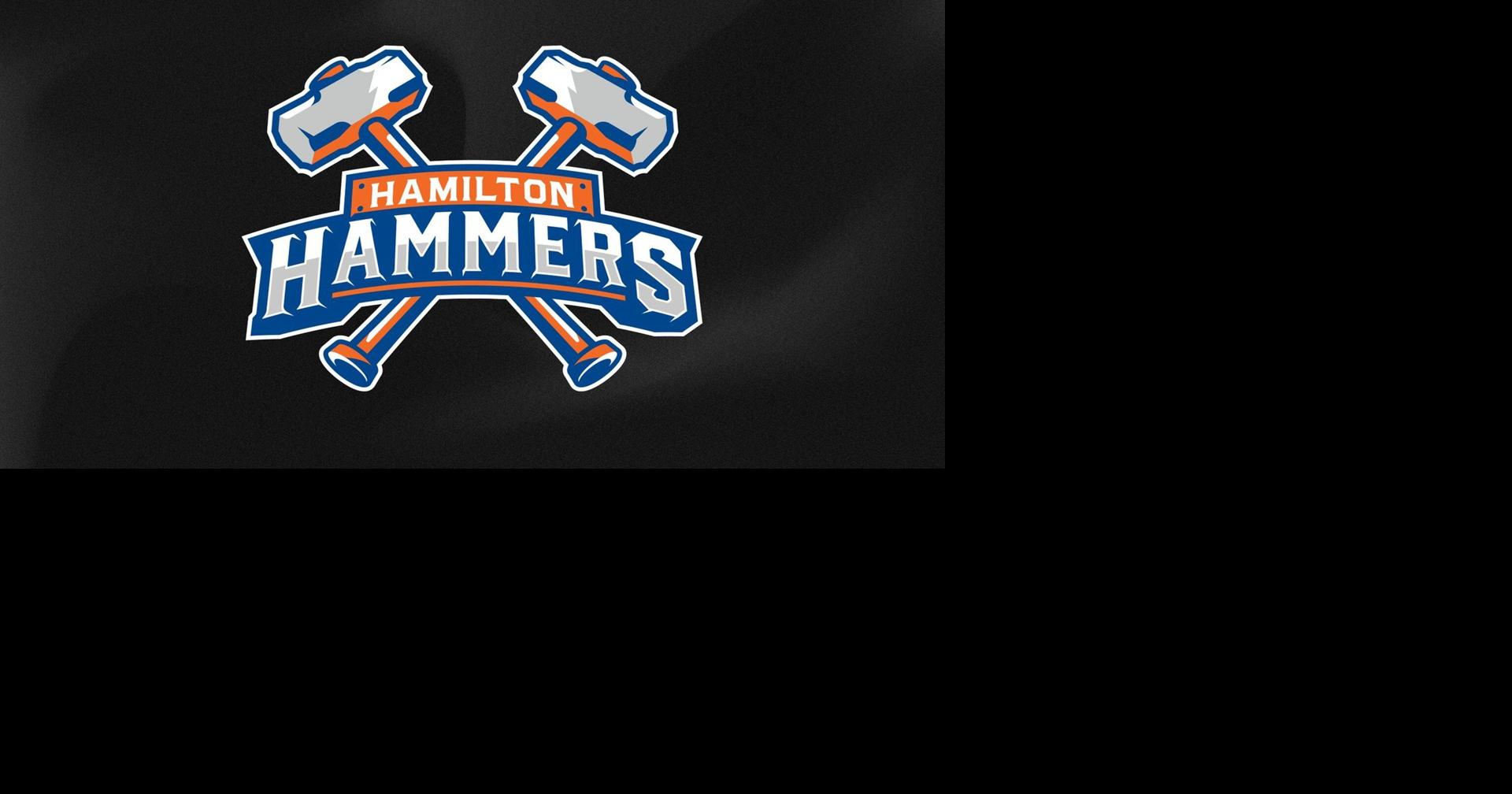 Hamilton Hammers name gives new AHL franchise a Steel City identity