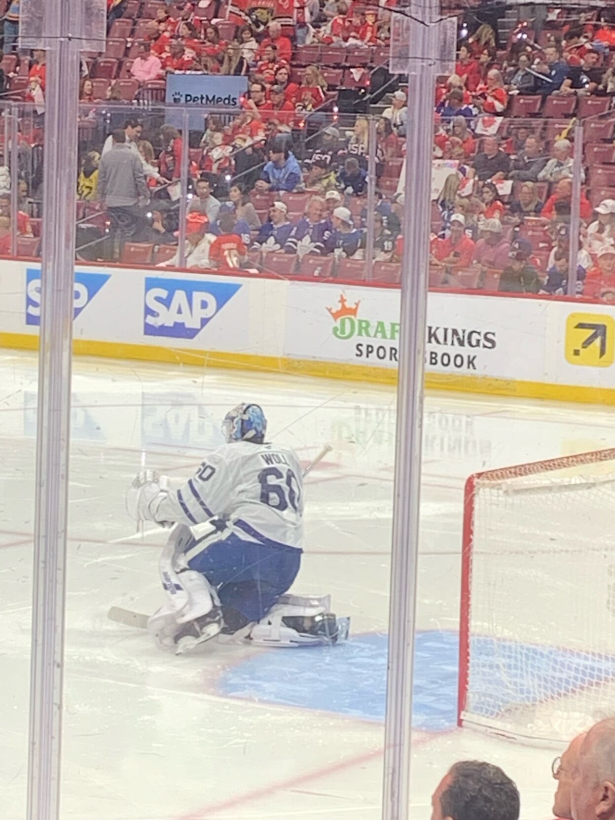 stephen grant leafs photo.jpg