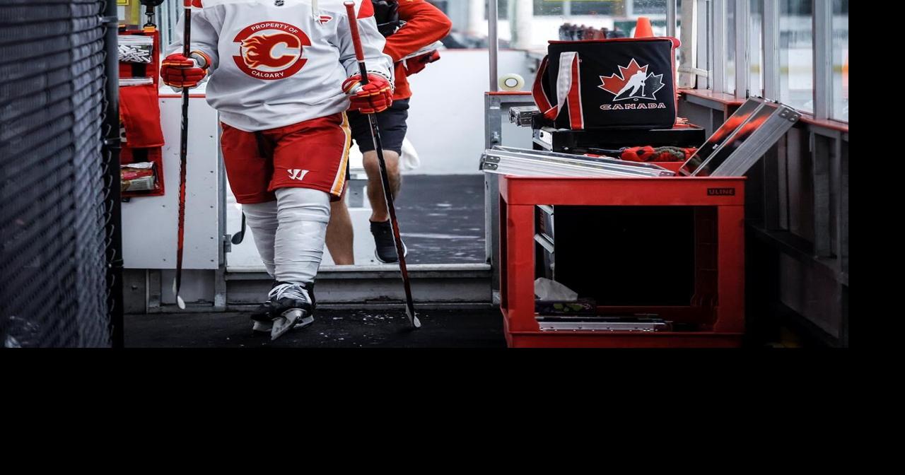 Calgary Flames seek stability, progress and playoffs with younger roster