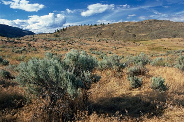 Osoyoos, Canada's Lone Desert