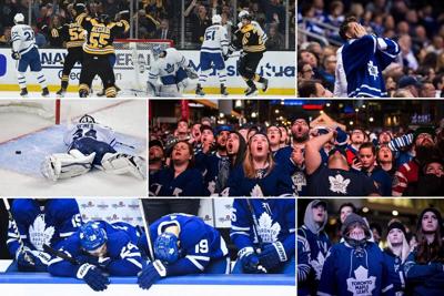 Toronto Maple Leaf Memes - Leafs Jokes