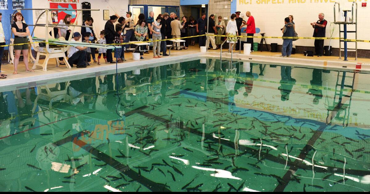Column: Scadding Court Community Centre’s Gone Fishin’ festival one of ...