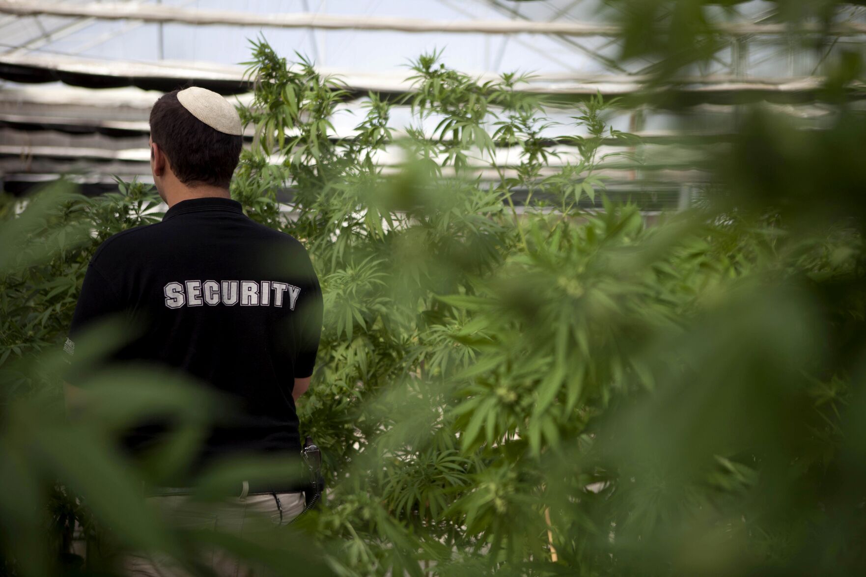 Why Canada is being accused of dumping cannabis on Israel