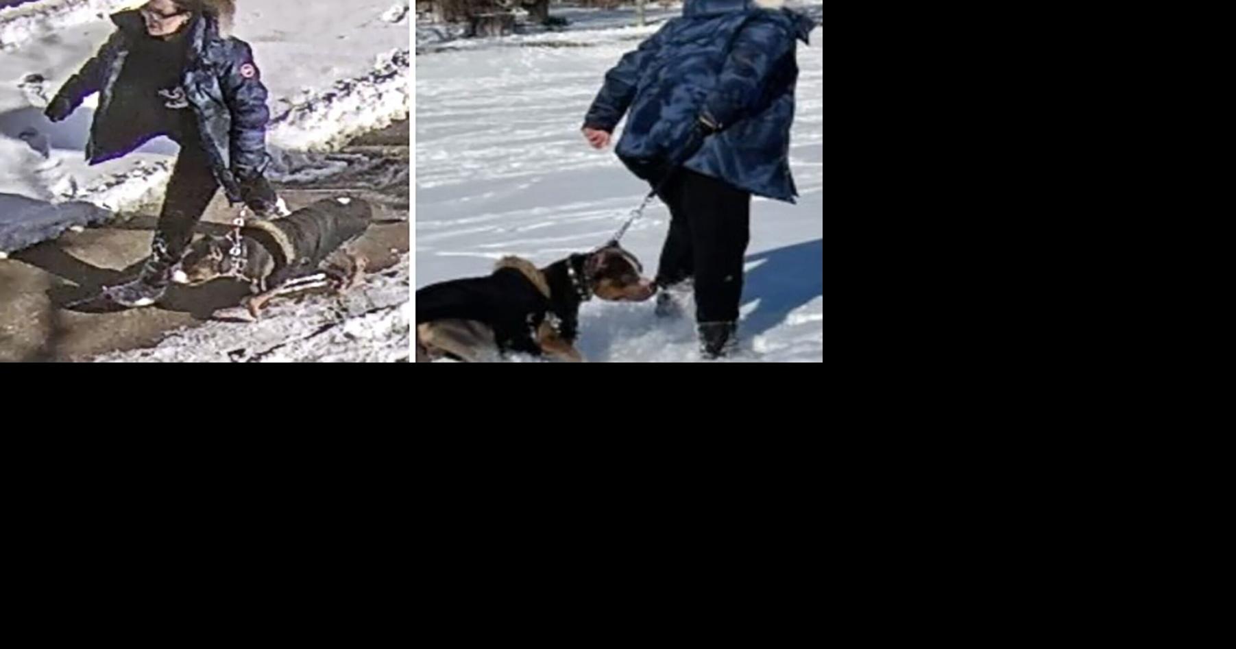 Dog owner charged with mauling says it's not first attack