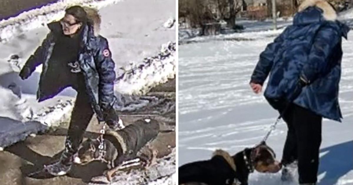 Dog owner charged with mauling says it's not first attack