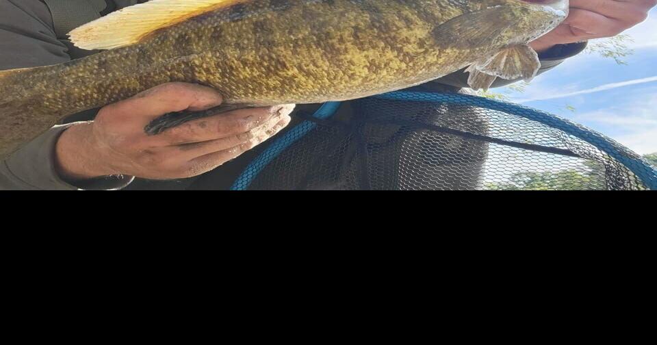 Provincial charges laid after workers fatally burned at Stelco Lake Erie Works