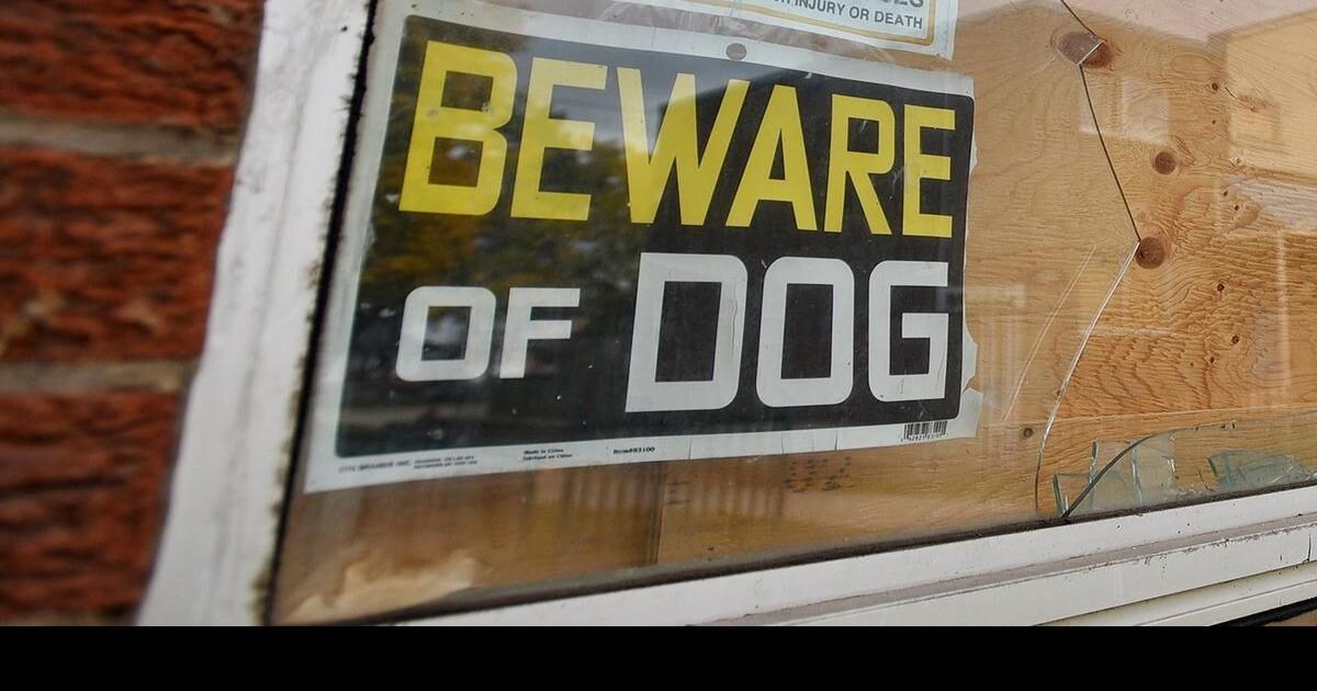 Hamilton man charged in Brant County dog attack was previously charged for Ancaster mauling