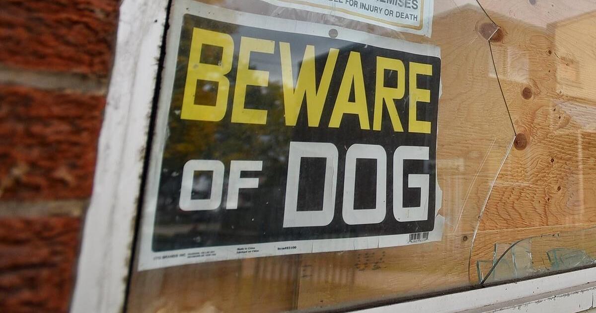 Hamilton man charged in Brant County dog attack was previously charged for Ancaster mauling Hamilton man charged in Brant County dog attack was previously charged for Ancaster mauling