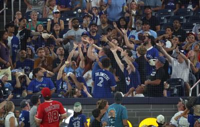 Jays fans