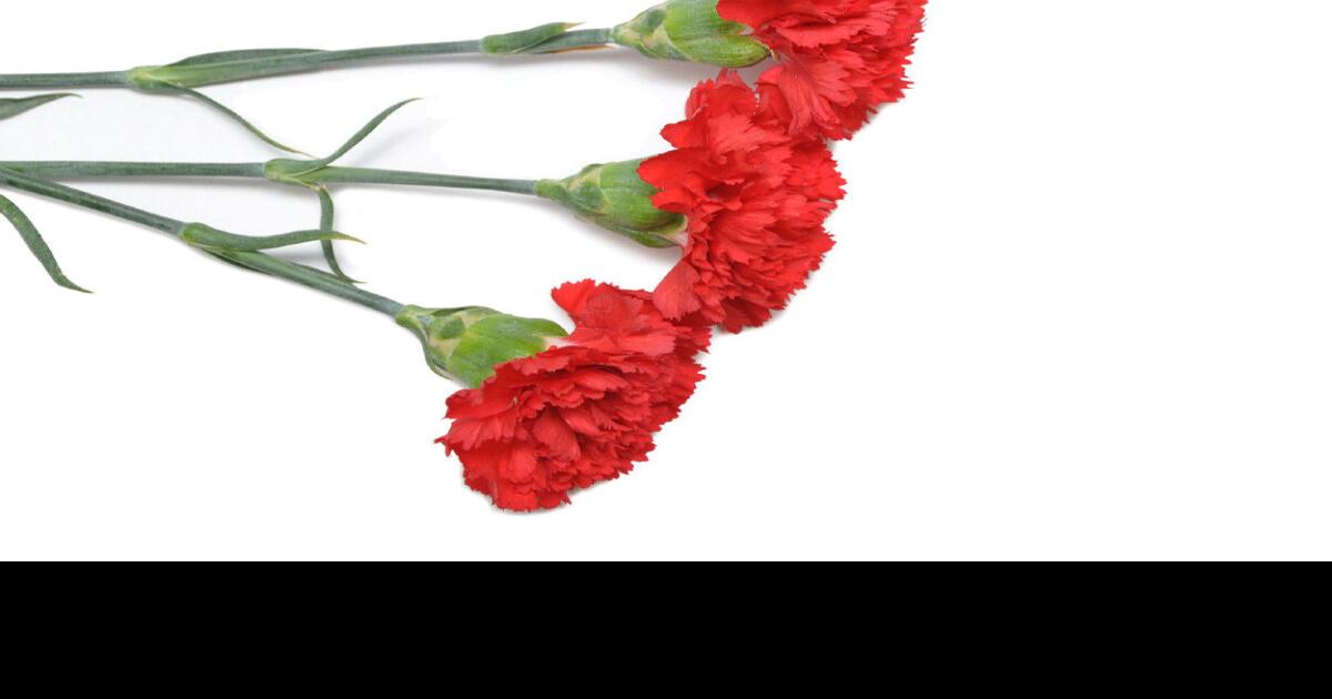Love in the time of cheap carnations
