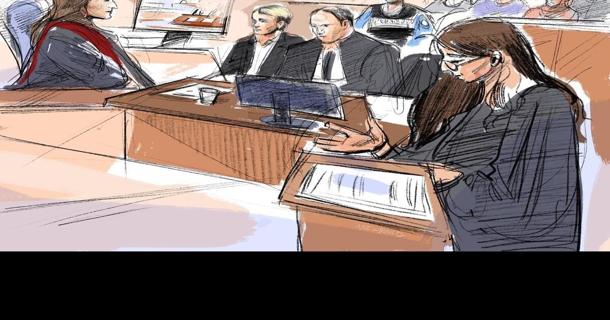 ‘Obviously, I’m going to have enemies’: Trial sees post-arrest video of accused London terrorist