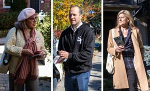 A former Liberal MP, a city hall journalist and a community activist: Why Beaches-East York is wide open