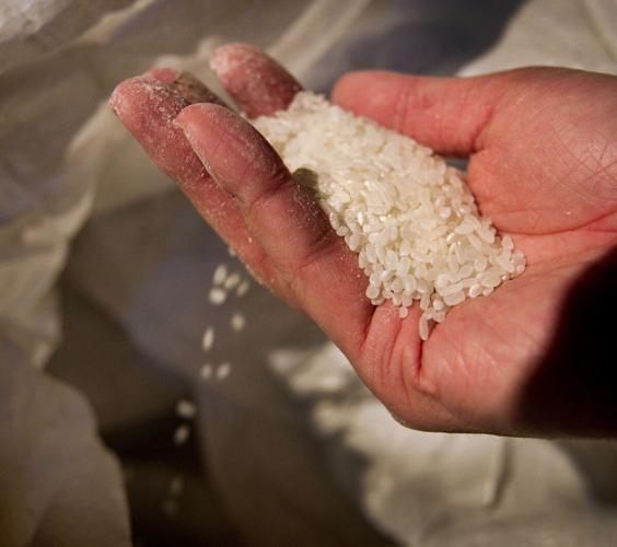 Sake Rice Spring Rubin: Sake made with Ontario spring water in Toronto’s Distillery District