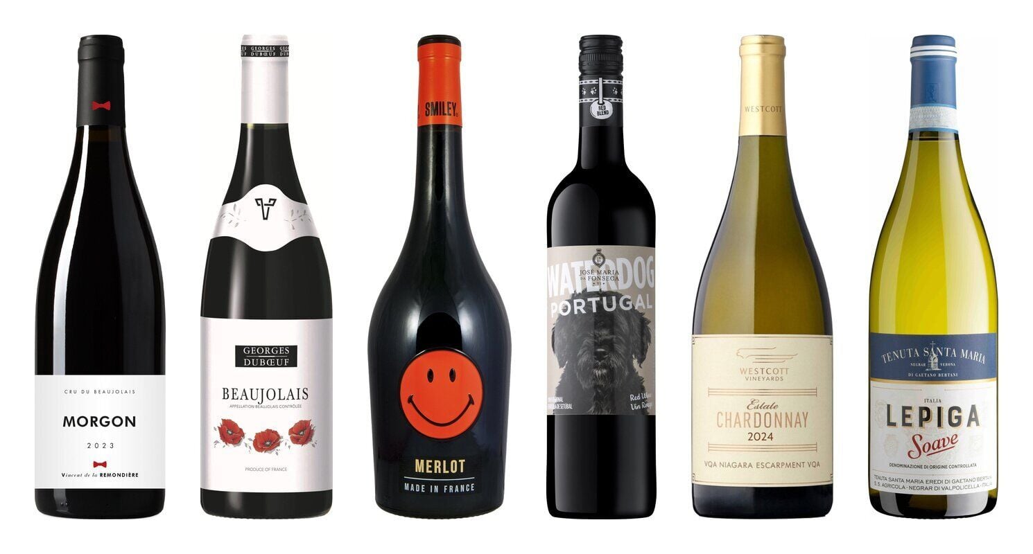 You have to try this new 95-score, under-$20 white wine before it sells out at the LCBO