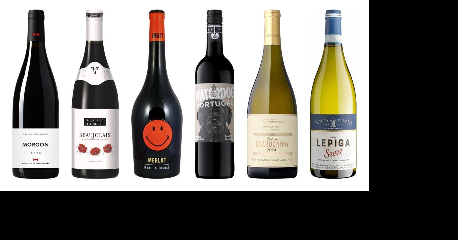 You have to try this new 95-score, under- white wine before it sells out at the LCBO