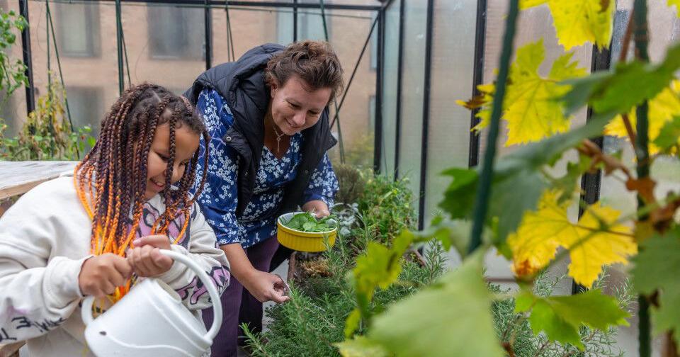 A new approach to care for diabetes