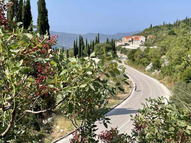 konavle_credit_lori_rackl
