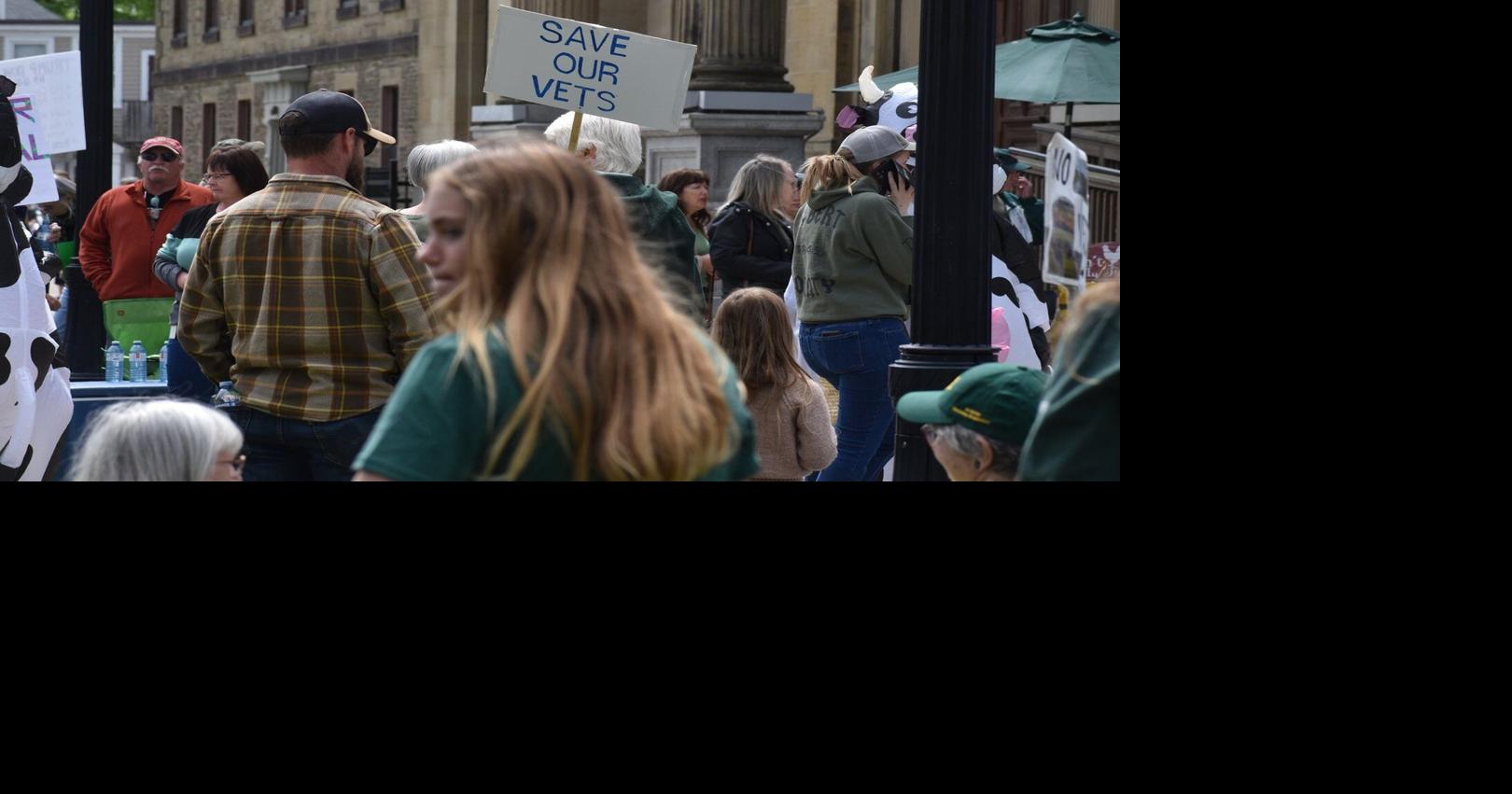 https://bloximages.chicago2.vip.townnews.com/thestar.com/content/tncms/assets/v3/editorial/3/48/348a6f89-b391-56de-a528-5612a4f6a058/6a20843f0ec91.image.jpg?crop=1620,851,0,114&resize=1200,630&order=crop,resize