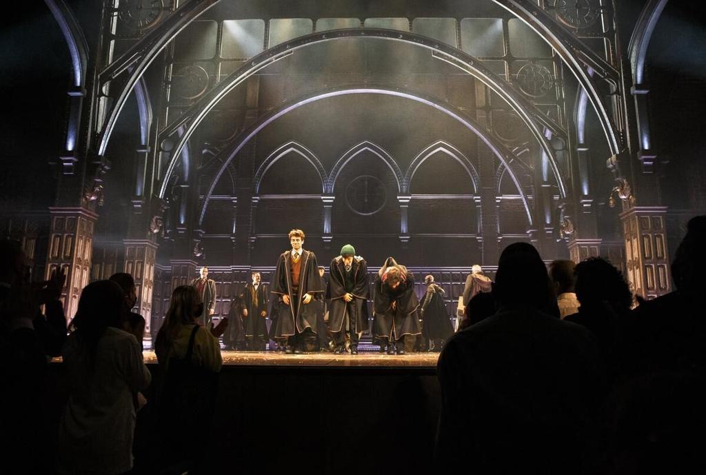 SCRUTINY  All-Star Canadian Cast, Spectacular Stagecraft In A New Harry  Potter Story