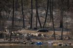 Dry lightning, hot weather expected to increase wildfire conditions in B.C. Interior