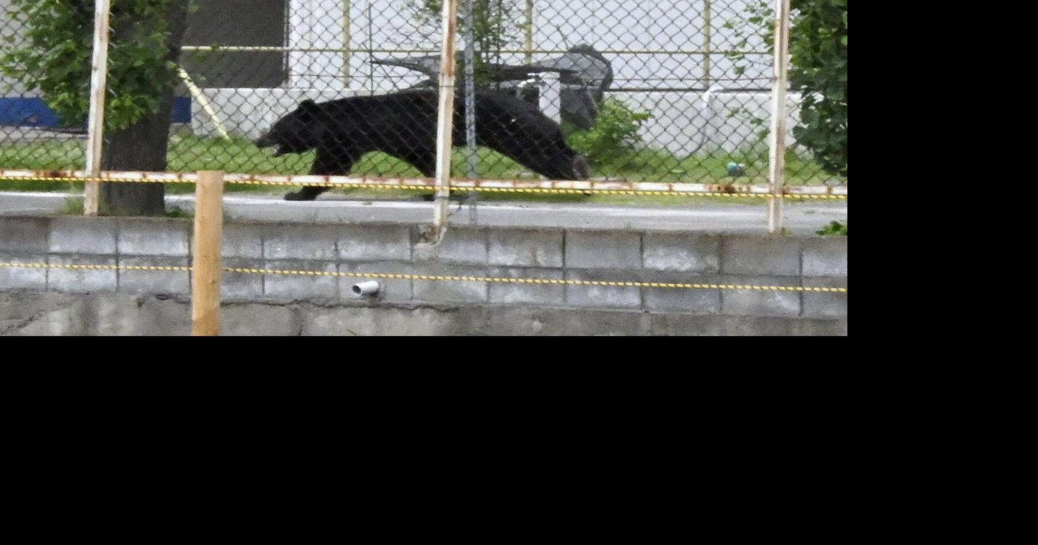 https://bloximages.chicago2.vip.townnews.com/thestar.com/content/tncms/assets/v3/editorial/3/64/364587e1-43dc-5ce9-8a9c-112c8e88ef0a/6a1ea4f0eb16e.image.jpg?crop=1470,772,0,154&resize=1200,630&order=crop,resize